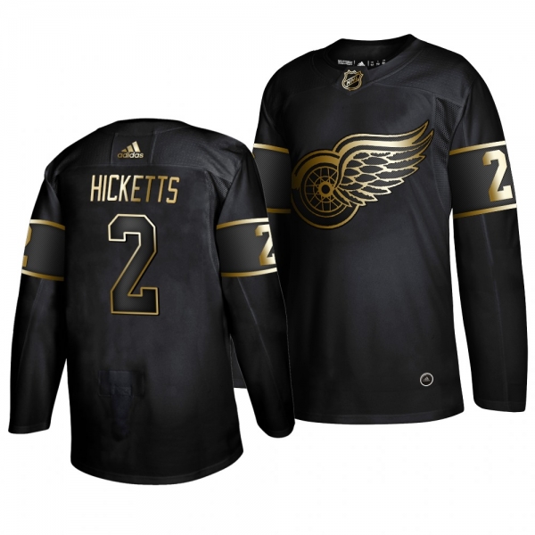 Men's Detroit Red Wings #2 Joe Hicketts 2019 Golden Edition Authentic Adidas Black Jersey