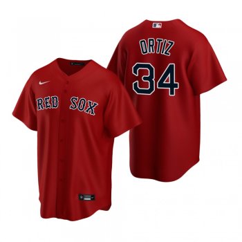 Men's Boston Red Sox David Ortiz Nike Red Replica Alternate Jersey