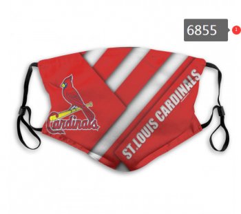 Cardinals PM2.5 Mask with Filter Double Protection (3)