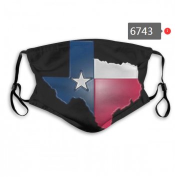 Texans PM2.5 Mask with Filter Double Protection (4)