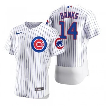 Men's Chicago Cubs Ernie Banks Nike White 2020 Authentic Jersey