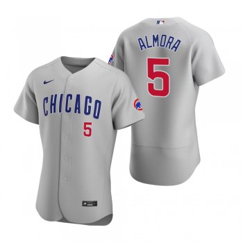 Men's Chicago Cubs Albert Almora Jr. Nike Gray Authentic 2020 Road Jersey