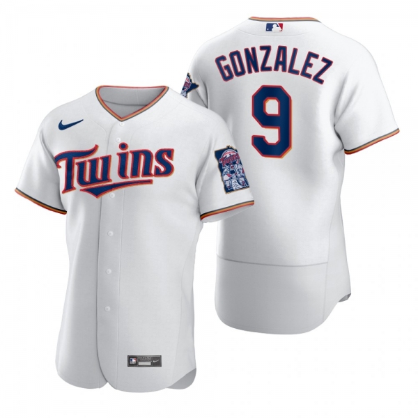 Men's Minnesota Twins Marwin Gonzalez Nike White 2020 Authentic Jersey