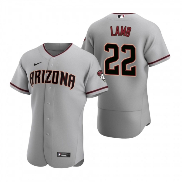 Men's Arizona Diamondbacks Jake Lamb Nike Gray Authentic 2020 Road Jersey