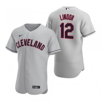 Men's Cleveland Indians Francisco Lindor Nike Gray Authentic 2020 Road Jersey