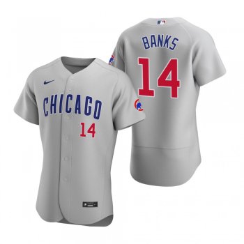 Men's Chicago Cubs Ernie Banks Nike Gray Authentic 2020 Road Jersey