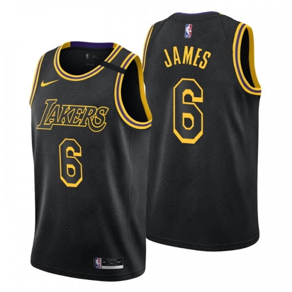 Los Angeles Lakers City Edition Jersey No.6 LeBron James Black 2021-22