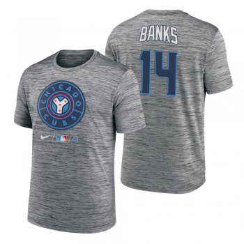 Chicago Cubs Ernie Banks Anthracite 2021 City Connect Practice T-Shirt