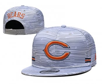 2021 NFL Chicago Bears Hat TX6041