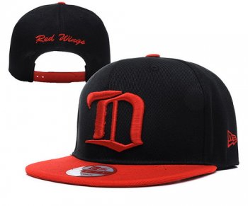 Detroit Red Wings Snapbacks YD007