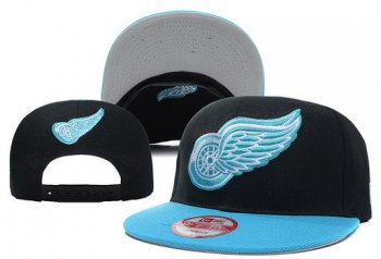 Detroit Red Wings Snapbacks YD014