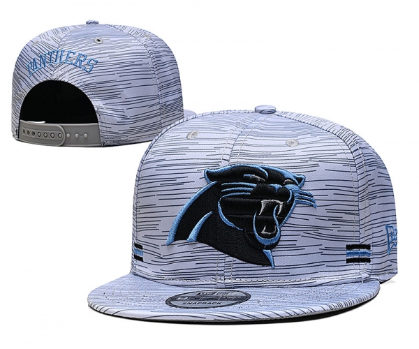 2021 NFL Carolina Panthers Hat TX604