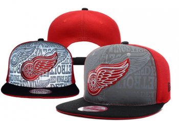 Detroit Red Wings Snapbacks YD002