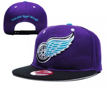 Detroit Red Wings Snapbacks YD010