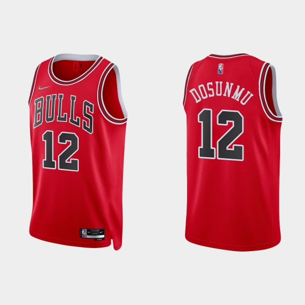 Chicago Bulls Ayo Dosunmu #12 Nike 2021/22 75th Anniversary Diamond Red Jersey Icon