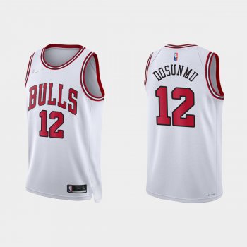 Chicago Bulls Ayo Dosunmu #12 Nike 2021/22 75th Anniversary Diamond White Jersey Association