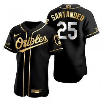 Baltimore Orioles Anthony Santander Nike Black Golden Edition Authentic Jersey