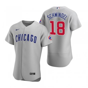 Men's Chicago Cubs Frank Schwindel Nike Gray Authentic Road Jersey