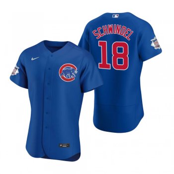 Men's Chicago Cubs Frank Schwindel Nike Royal Authentic Alternate Jersey