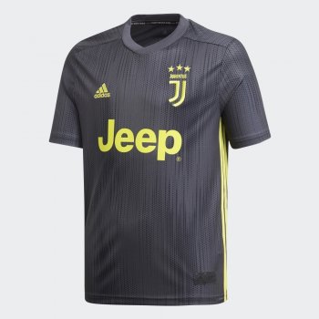 Adidas Men Juventus 18-19 Third Jersey