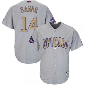 Chicago Cubs #14 Ernie Banks Grey 2017 Gold Program Cool Base Stitched MLB Jersey