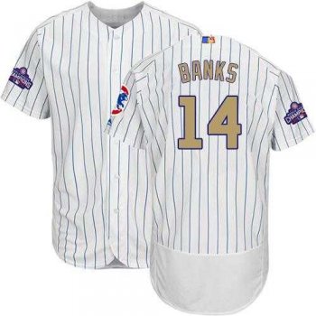 Chicago Cubs #14 Ernie Banks White(Blue Strip) Flexbase Authentic 2017 Gold Program Stitched MLB Jersey