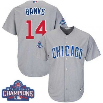 Youth Chicago Cubs #14 Ernie Banks Grey Road 2016 World Series Champions Stitched Baseball Jersey