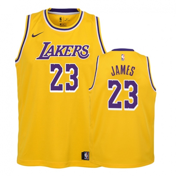 Youth Los Angeles Lakers #23 Lebron James Icon Jersey