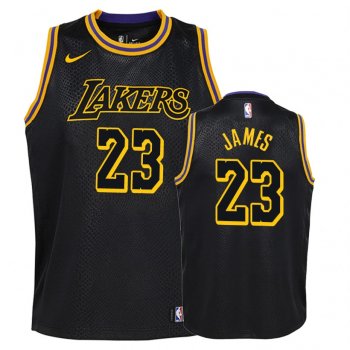 Youth Los Angeles Lakers #23 LeBron James City Jersey