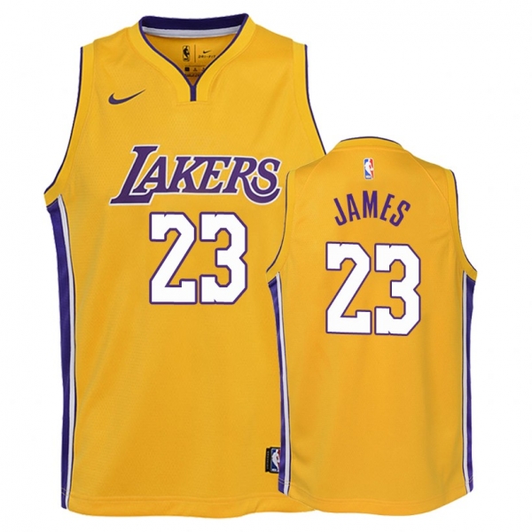 Youth Los Angeles Lakers #23 LeBron James Icon Jersey