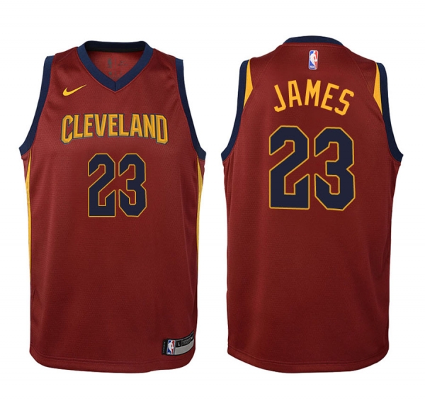 Youth Cleveland Cavaliers #23 LeBron James Icon Jersey