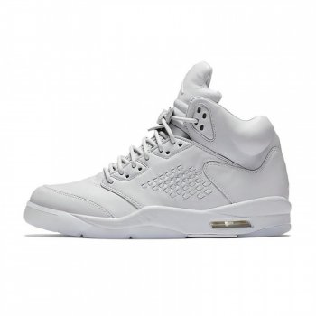 Air Jordan 5 Premium Pure Platinum 881432-003