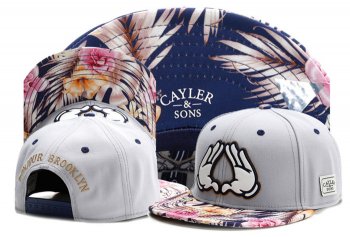 Best Selling Caps Cayler Sons Snapback Brooklyn in Gray Blue Pink,popular,100% authentic,stable quality Snapbacks/Hats/Caps