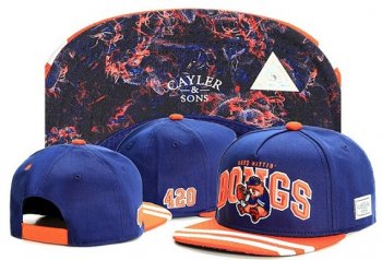 Best Selling Caps Cayler Sons Snapback in Blue Orange Gray,exclusive range,Online Store,Various Colors Snapbacks/Hats/Caps