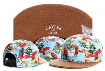 Best Selling Hats Cayler Sons Snapback Brown Blue Birds,Cheap,beautiful in colors,Official Snapbacks/Hats/Caps