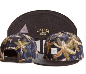 Best Selling Hats Cayler Sons Snapback in Brown Light Yellow,Colorful And Fashion-Forward,discount shop,100% Satisfaction Guarantee Snapbacks/Hats/Caps