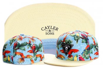 Best Selling Hats Cayler Sons Snapback Jade Blue Green Colorful,premium selection,various styles,Shop Snapbacks/Hats/Caps