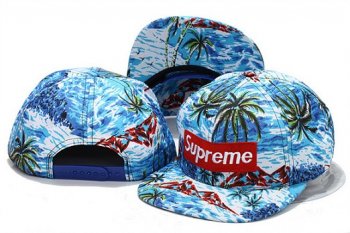 Fashion Street Snapbacks Supreme Fitted Caps in Sky Blue Beige,Hottest New Styles,Exclusive Deals,amazing selection Snapbacks/Hats/Caps