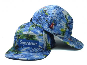 Fashion Street Snapbacks Supreme Fitted Caps in Sky Blue Green Stripes,premier fashion designer,authentic quality,large discount Snapbacks/Hats/Caps