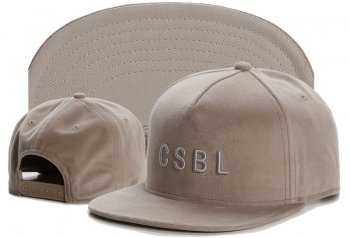 Best Selling Caps Cayler Sons Snapback in Brown Gray Logo,Fantastic savings,Hottest New Styles,stylish Snapbacks/Hats/Caps