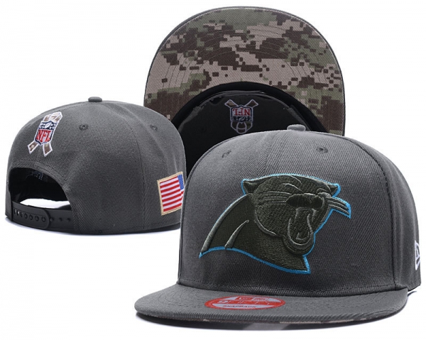 NFL Snapbacks Carolina Panthers Fitted Caps in Dark Gray,100% quality guarantee,official online website,timeless design Snapbacks/Hats/Caps