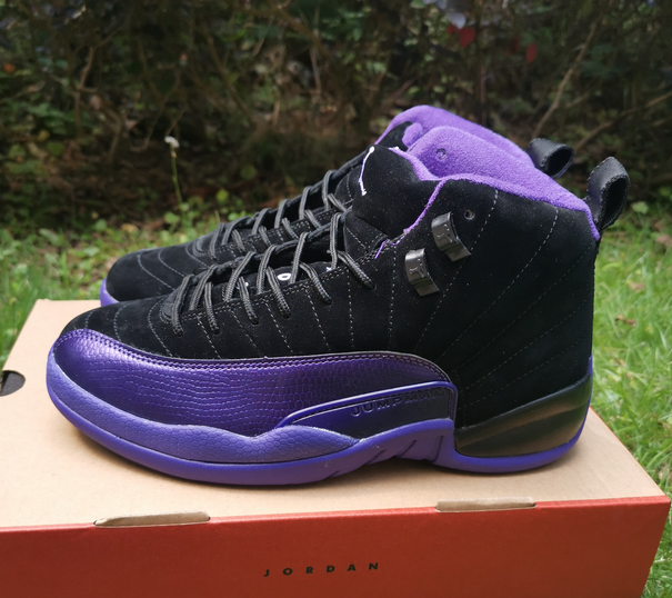 Men's Running Weapon Air Jordan 12 Shoes 024-ID240